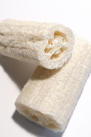 Loofah Sponge