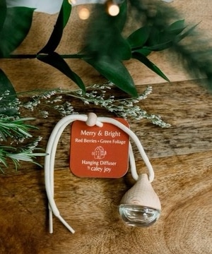 Holiday Hanging Diffusers